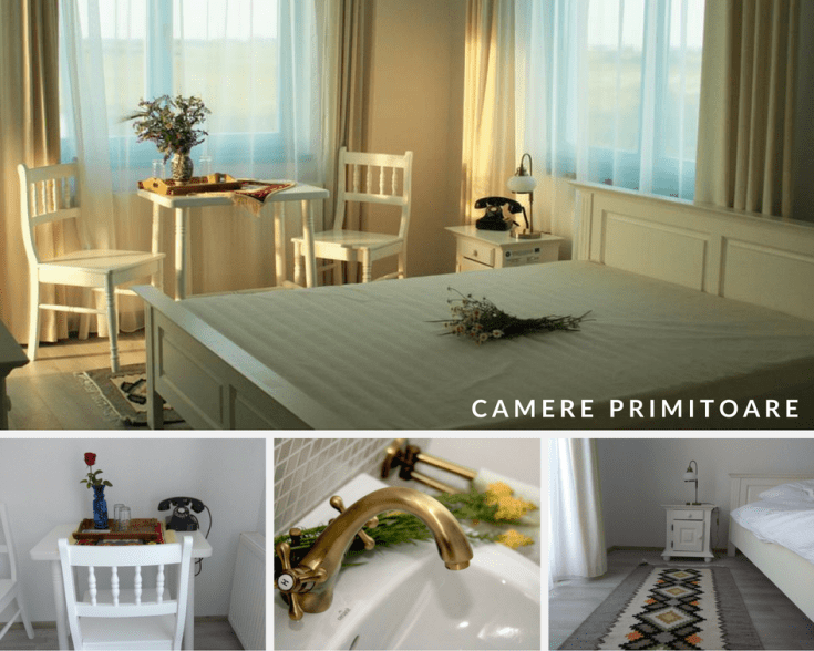 fragaria pensiune arad