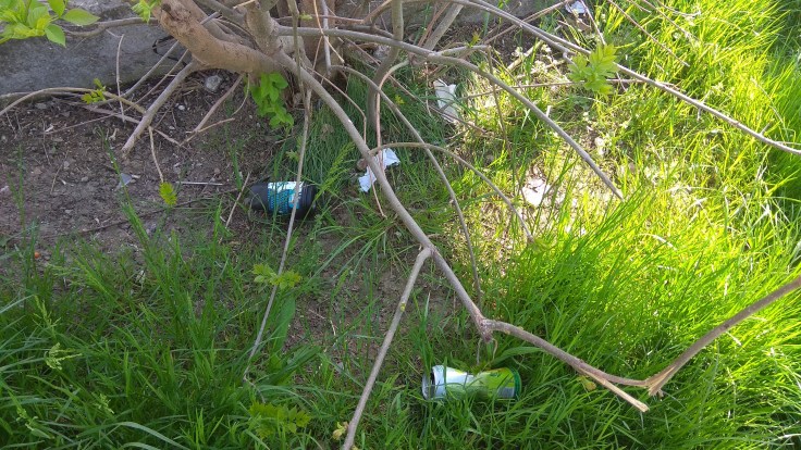 gunoaie tulcea0429_160526