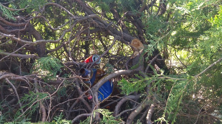 gunoaie tulcea0429_160946.jpg