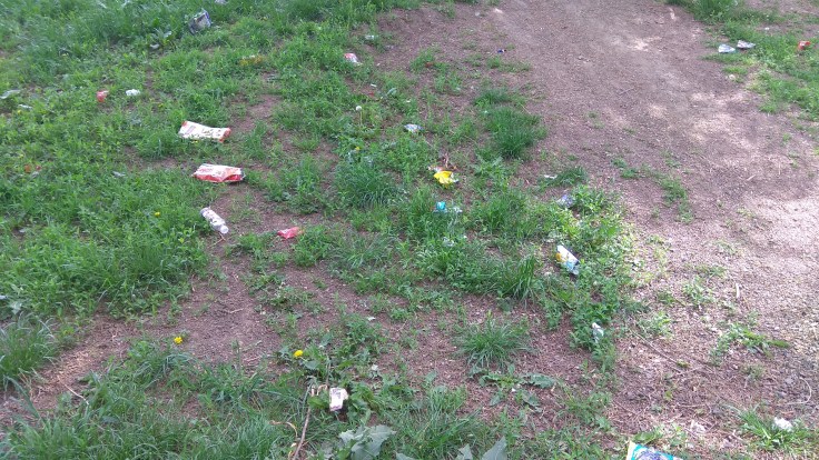 gunoaie tulcea0430_120942.jpg